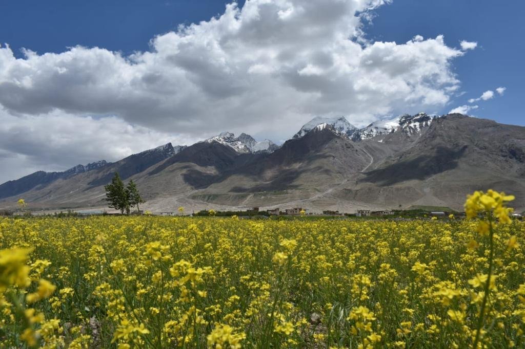 Ladakh landscape and mountain views